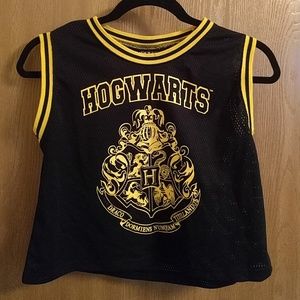 Hogwarts Mesh Crop Top